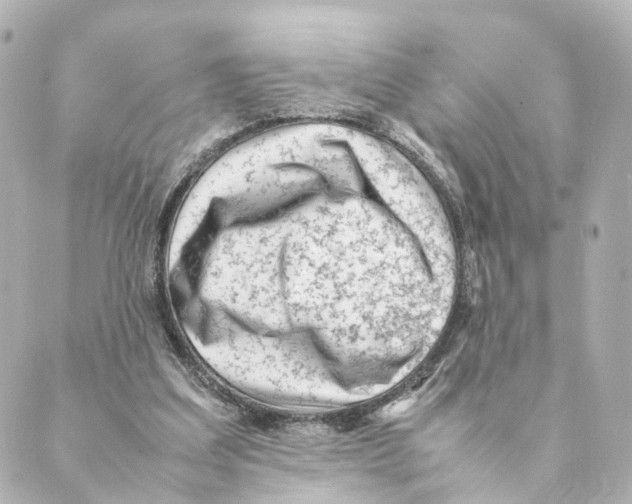 X0000088580203200706221324