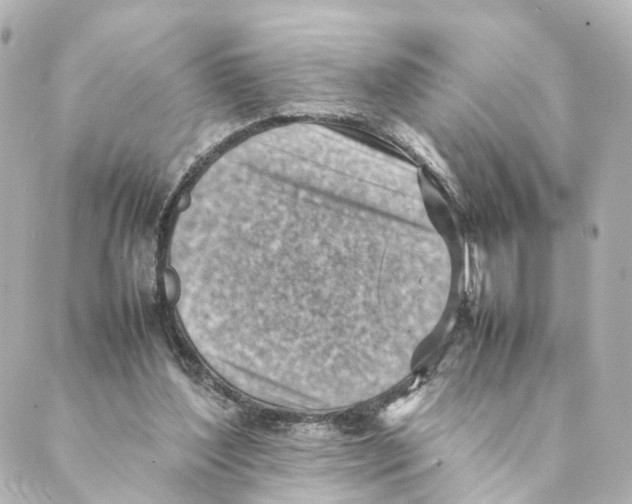 X0000088580204200706221324