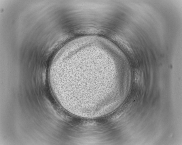 X0000088580206200706221324