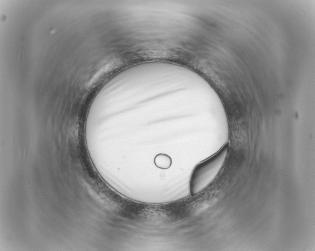 X0000088580207200706221324