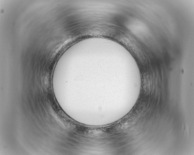 X0000088580208200706221324