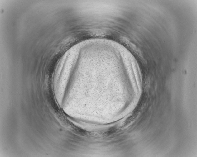 X0000088580209200706221324