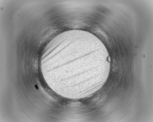 X0000088580210200706221324