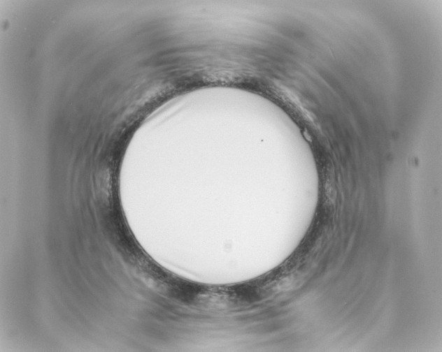 X0000088580211200706221324