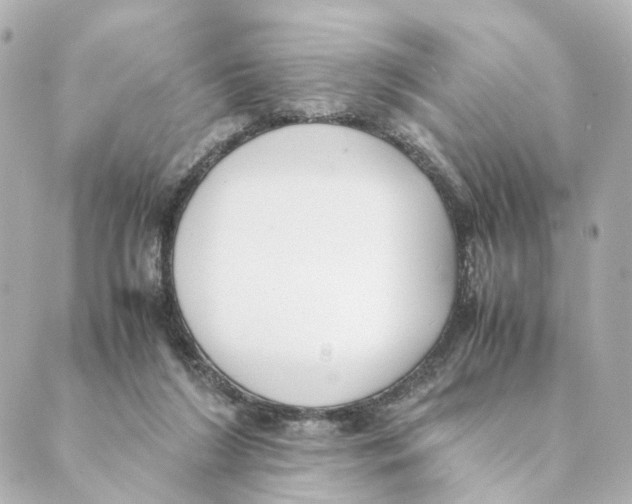 X0000088580212200706221324