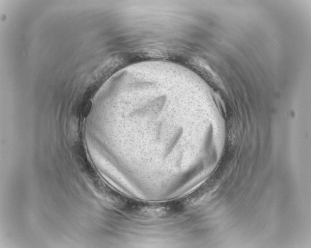 X0000088580213200706221324