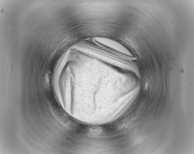 X0000088580214200706221324