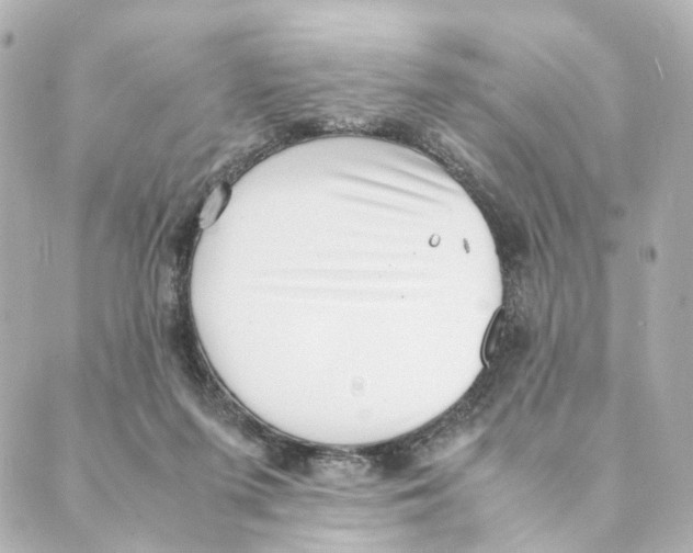 X0000088580215200706221324