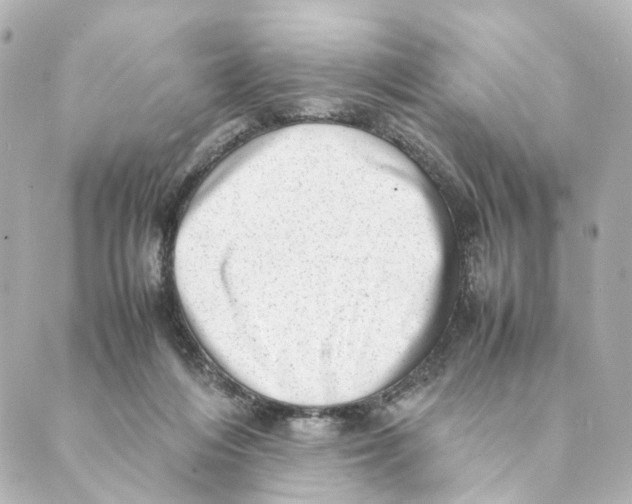 X0000088580216200706221324