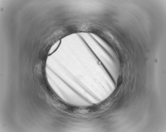 X0000088580217200706221324