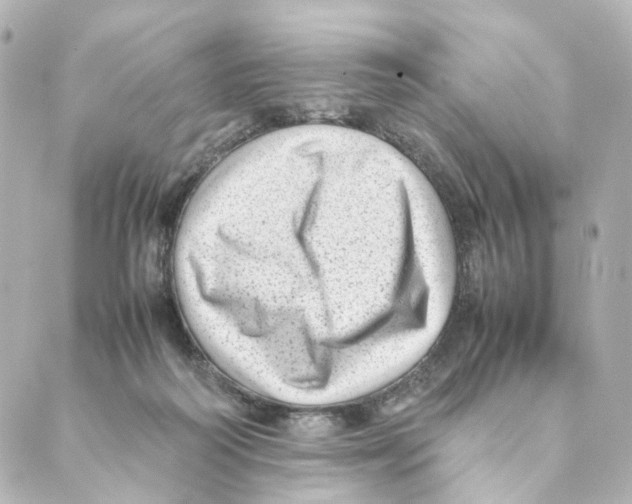 X0000088580218200706221324