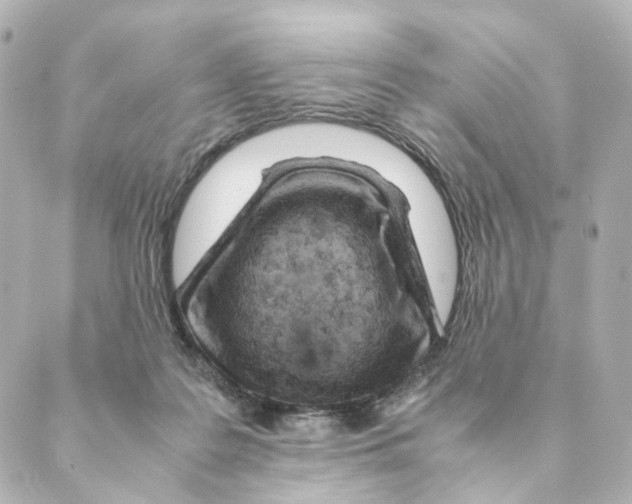 X0000088580219200706221324