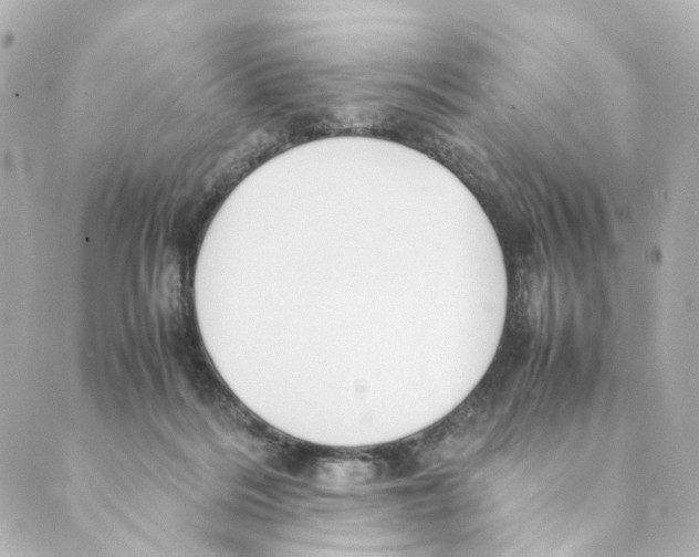 X0000088580220200706221324