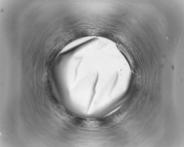 X0000088580221200706221324