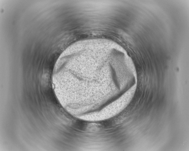 X0000088580222200706221324