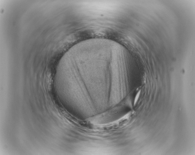 X0000088580223200706221324