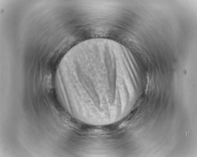 X0000088580224200706221324