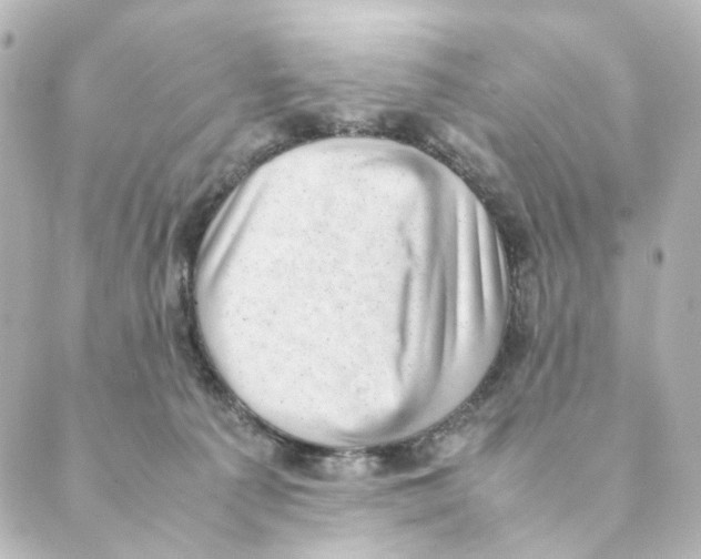 X0000088580225200706221324