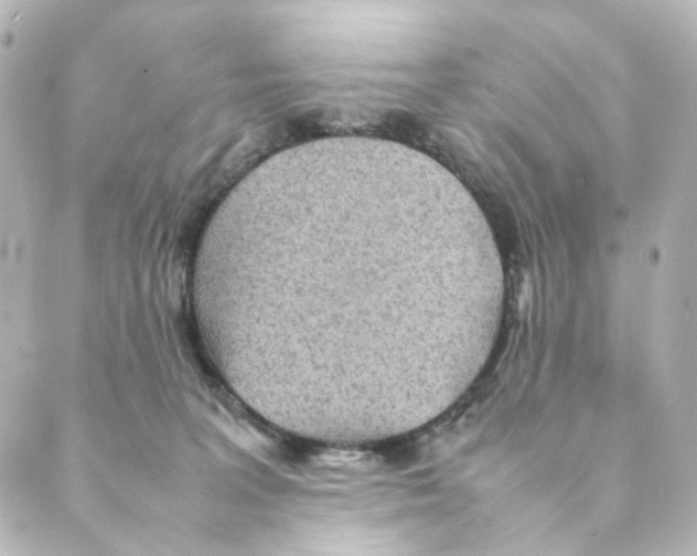 X0000088580227200706221324