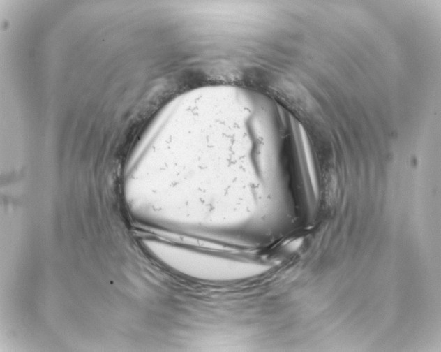 X0000088580229200706221324