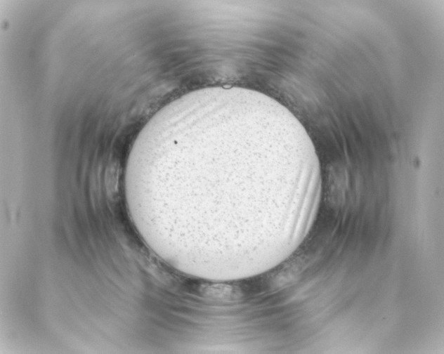 X0000088580230200706221324