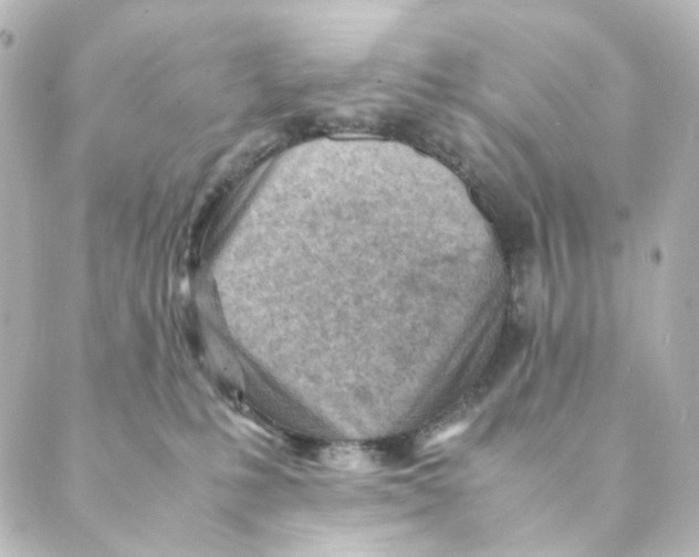 X0000088580231200706221324