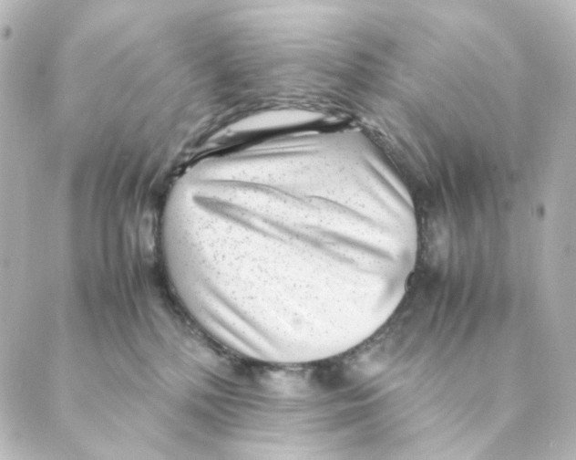 X0000088580232200706221324