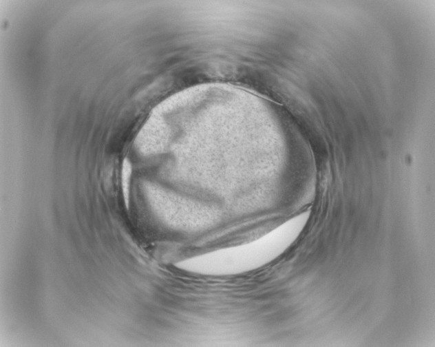 X0000088580233200706221324