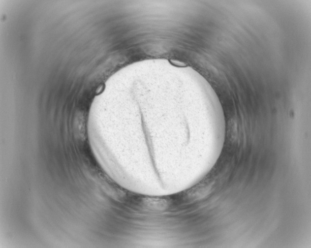 X0000088580234200706221324