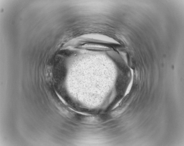 X0000088580237200706221324