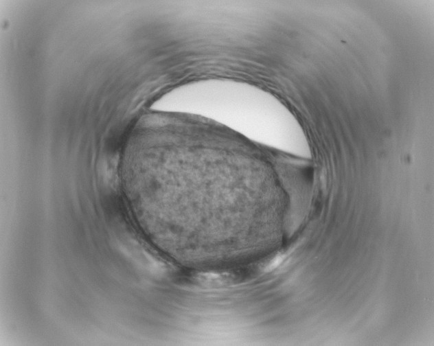 X0000088580239200706221324