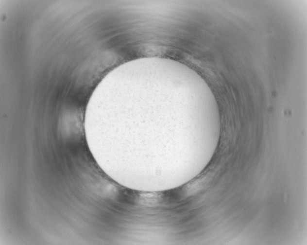 X0000088580240200706221324