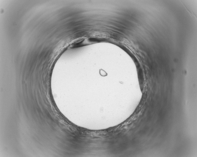 X0000088580241200706221323