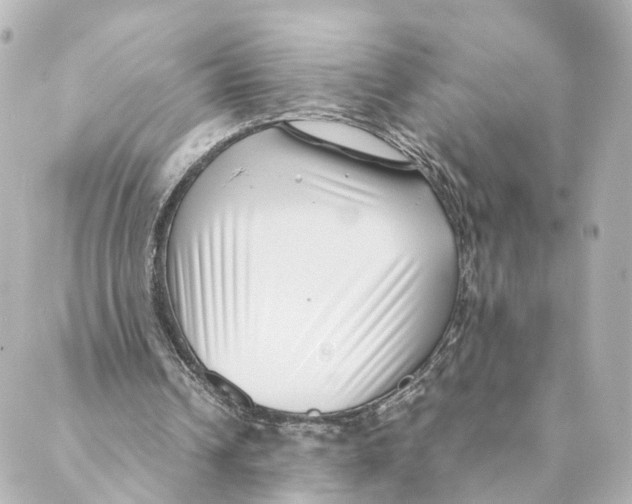 X0000088580242200706221323