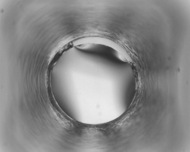 X0000088580244200706221323