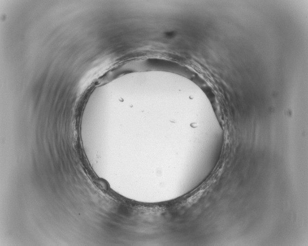 X0000088580245200706221323