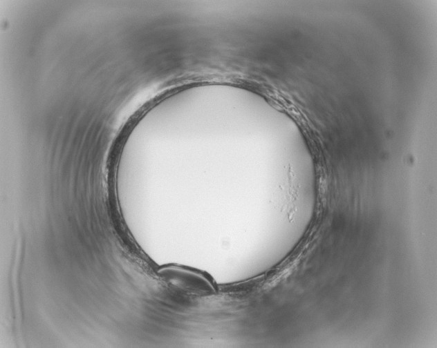 X0000088580246200706221323