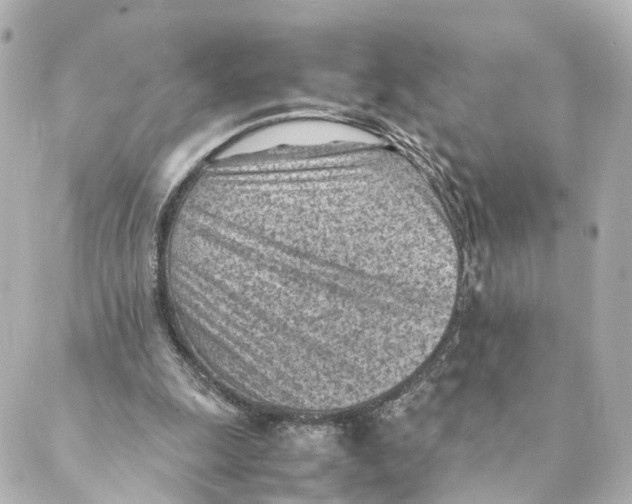 X0000088580247200706221323