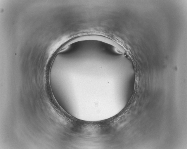 X0000088580248200706221323