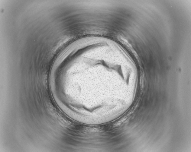 X0000088580249200706221323