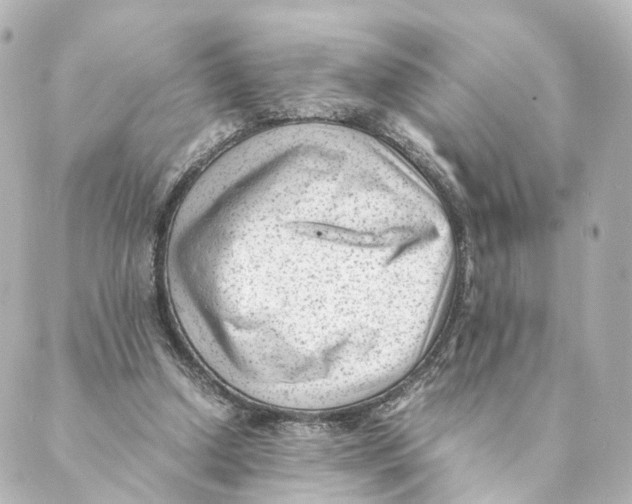 X0000088580250200706221323