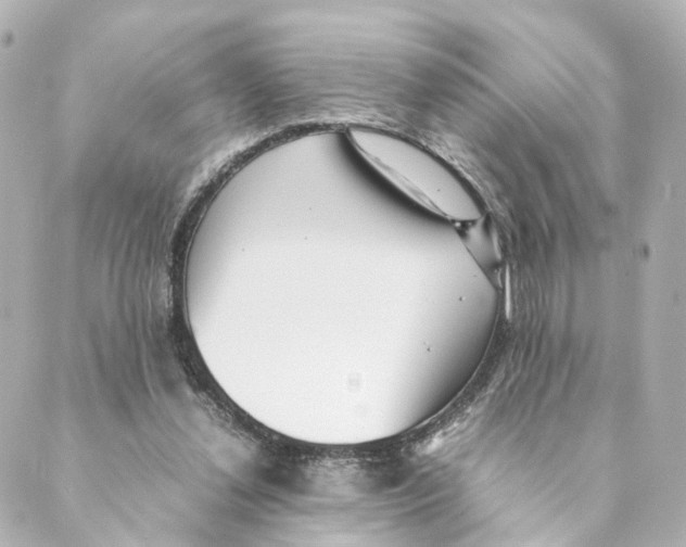 X0000088580252200706221323