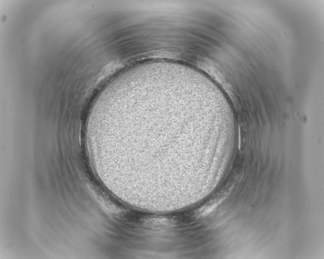 X0000088580253200706221323