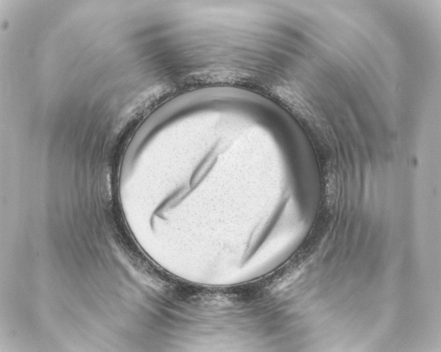 X0000088580254200706221323