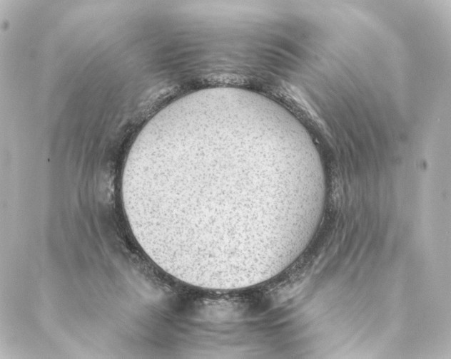 X0000088580259200706221323