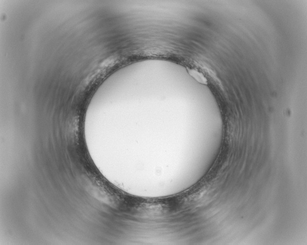 X0000088580260200706221323