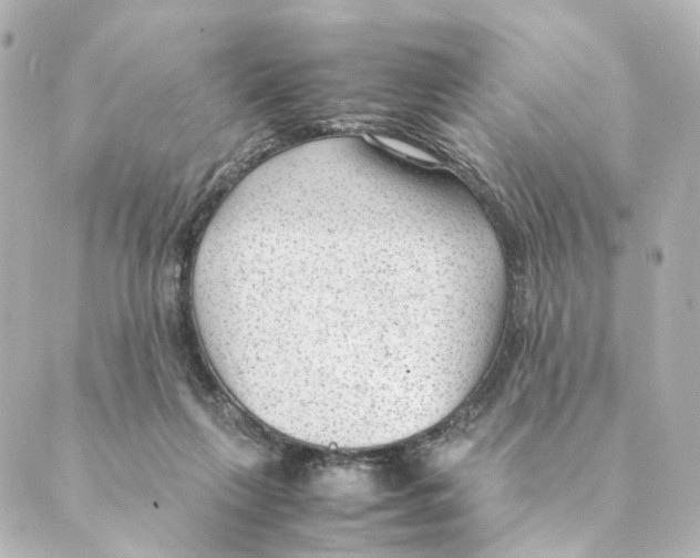 X0000088580263200706221323