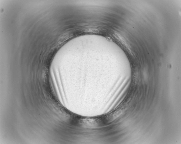 X0000088580265200706221323