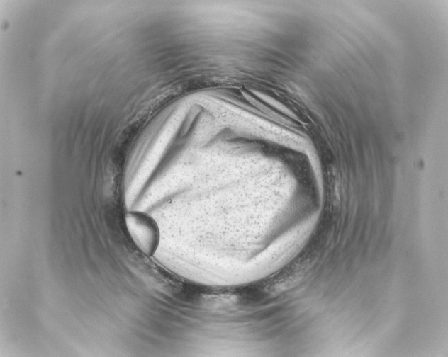 X0000088580266200706221323