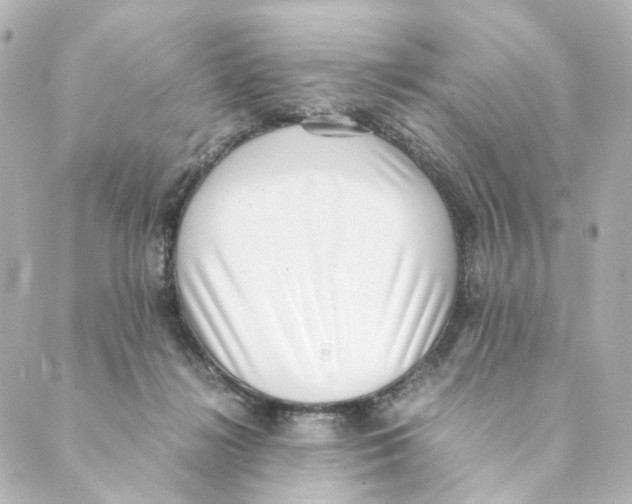 X0000088580268200706221323